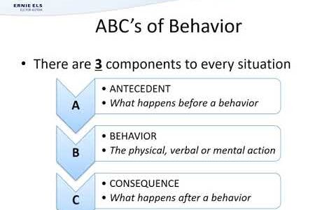 Basics of Behavior: Part 1